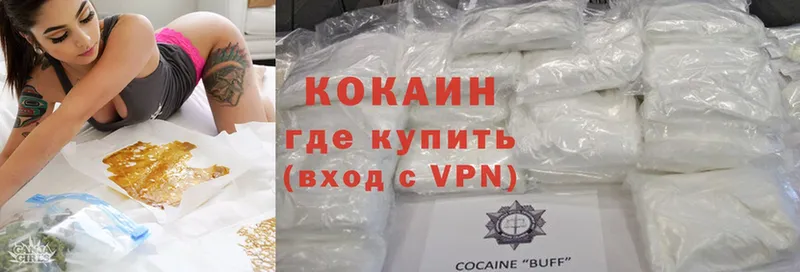 где купить наркоту  гидра   COCAIN Эквадор  Алейск 